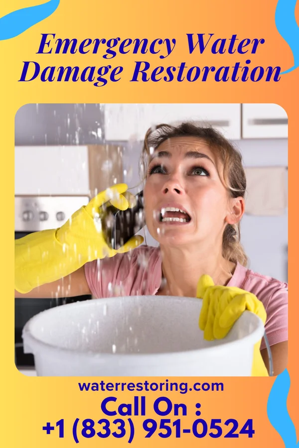 Emergency Water Damage Restoration in Hutchinson, NJ