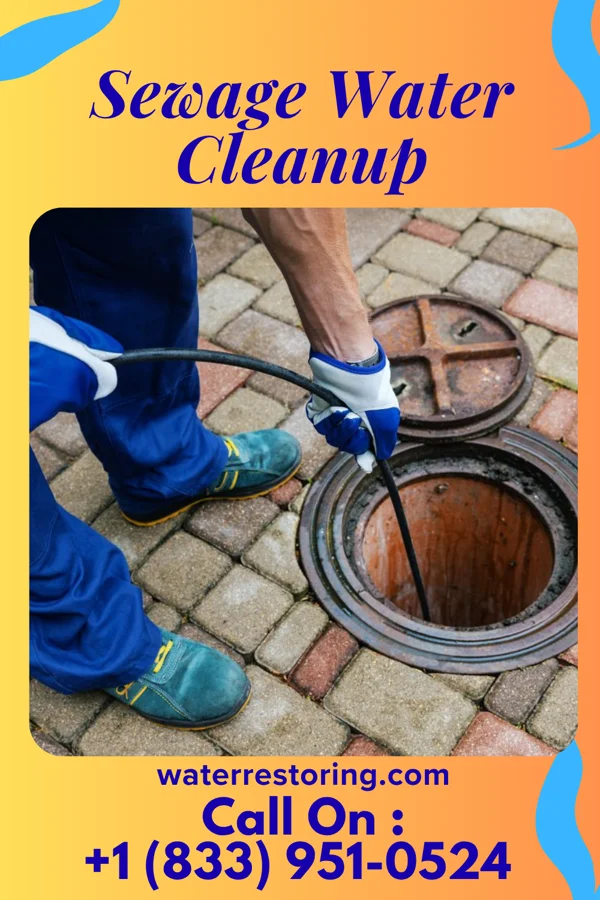 Sewage Water Cleanup in Hutchinson, NJ