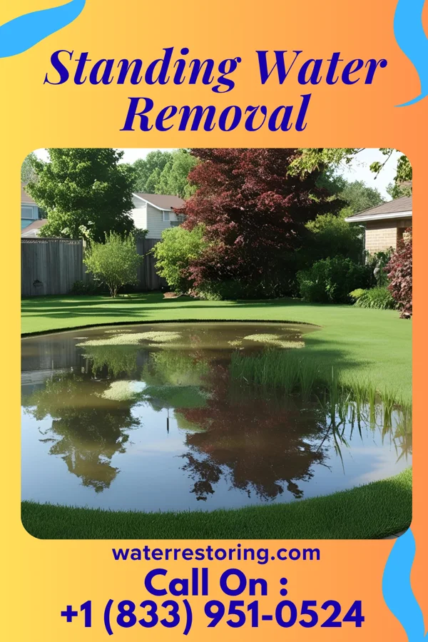 Standing Water Removal in Hutchinson, NJ